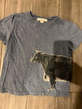 Authentic Burberry Kids Blue Graphic Tee with Bull Print